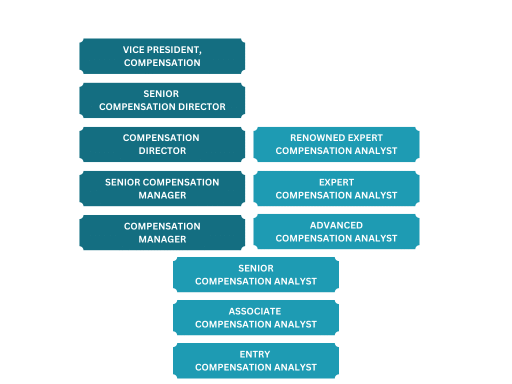 A Typical Compensation Analyst Career Path